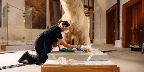 The Transformation of Hull Maritime Museum: Behind the scenes