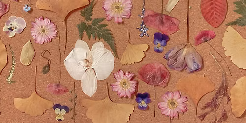 Art in Bloom | Pressed Botanicals: The Art of Pressed Flowers
