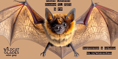 Nature Explorers- Bat Discovery