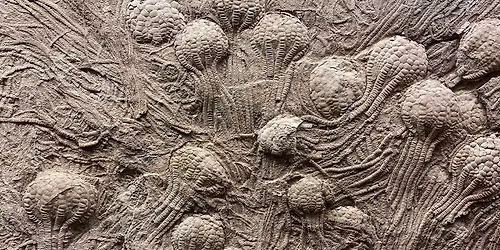 "Wisconsin's Geoheritage": In-Person Badger Talk in Hayward, WI