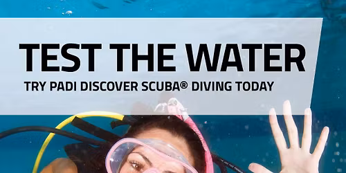 DSD2536 - Discover Scuba Diving