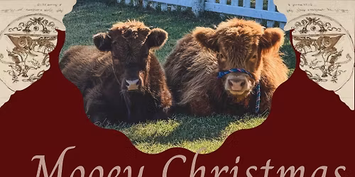 Christmas at the Farm * Mooey Christmas \ud83c\udf84