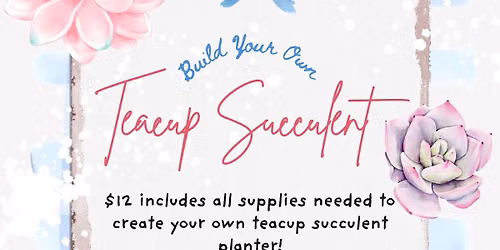 Teacup Succulent Event