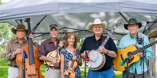 Concerts @ the Library: No Strings Attached
