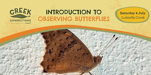 Introduction to Observing Butterflies