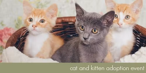 Animal Haven Rescue Adoption Event