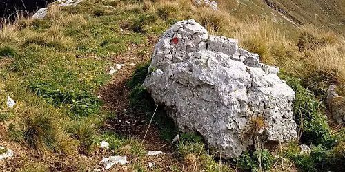 Monte Zaiavor - anello da Passo Tanamea