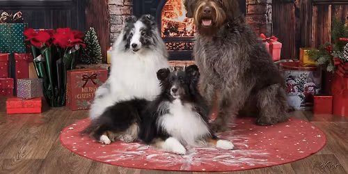 November Obedience Match 