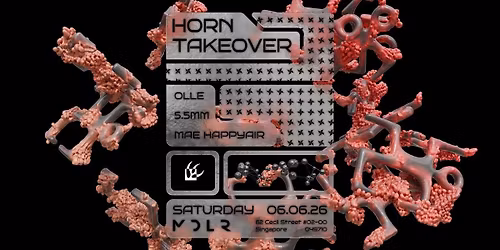 HORN TAKEOVER: SINGAPORE