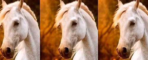 Horse in Pastels (Saturday Morning)