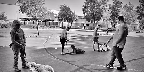 Saturday Group Obedience Class - All levels welcome! NEW TIME!