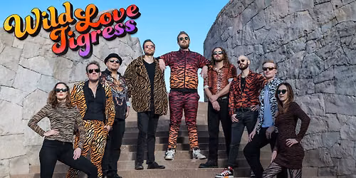 Wild Love Tigress at Schmiggity's