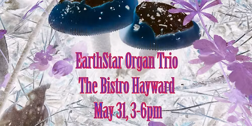 Live at the Bistro in Hayward