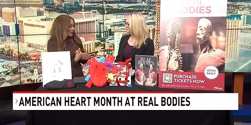 Real Bodies - Las Vegas