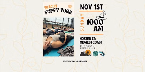 Barks & Brews Halloween: Rescue Puppy Yoga at Midwest Coast Brewing
