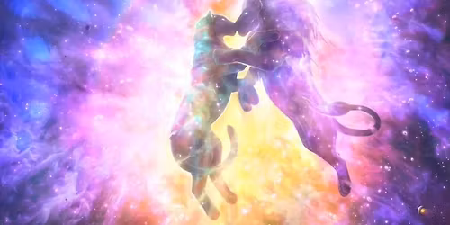 Balans maskulint\/feminint- meditationskv\u00e4ll f\u00f6r en hel kropp och sj\u00e4l