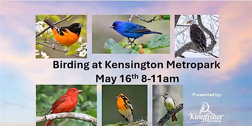 Birding at Kensington Metropark!