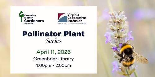 Pollinator Plant Series 2026