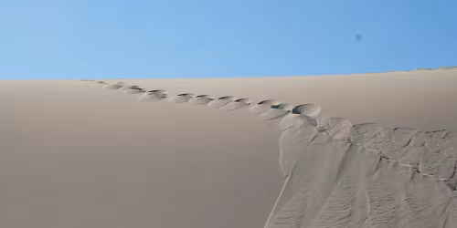 Carling, Live in Sarasota