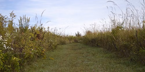 Guided Hike With the Naturalist