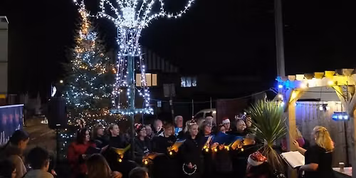 Carols under the tree