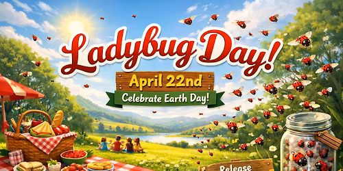 Lady Bug Day!