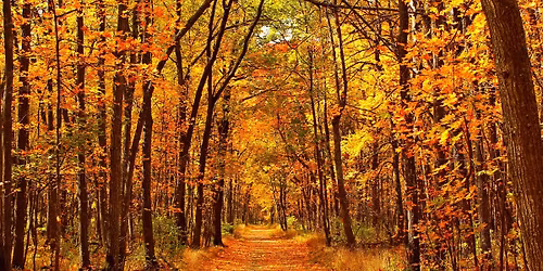 Fall Wellness Walk 11.24.2025