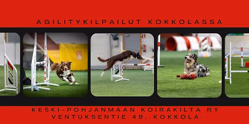 Kiltan helatorstain agilitykilpailut Kokkolassa