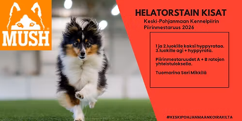 Kiltan helatorstain agilitykilpailut ja K-P kennelpiirin piirinmestaruus 