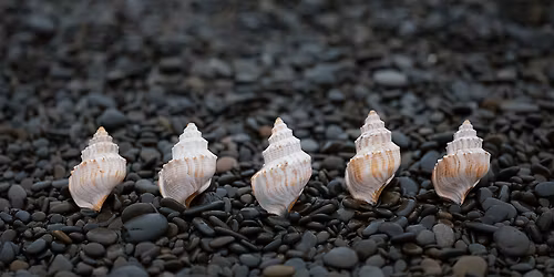 PhotoFest | All New Camera Secrets with John Greengo