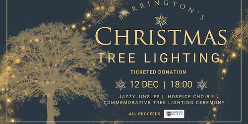 Hospice Tree Lighting Christmas Celebration