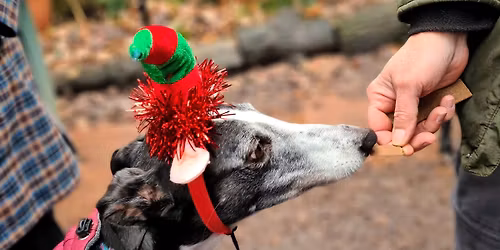 WGW Christmas Party 2025