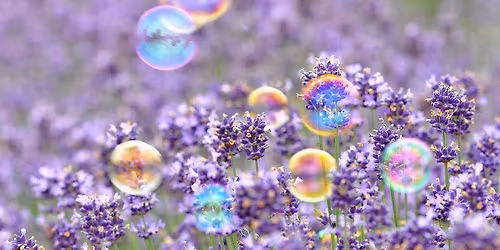 Children\u2019s Wish Endowment\u2019s Annual Christmas Party