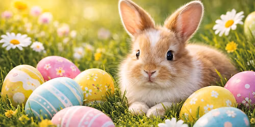 H\u00fasv\u00e9ti forgatag