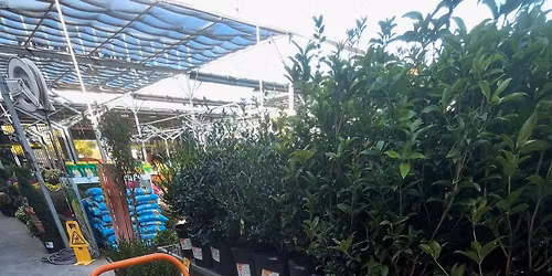 2026 4-Week Group Class Starts Jan 14th @ $199