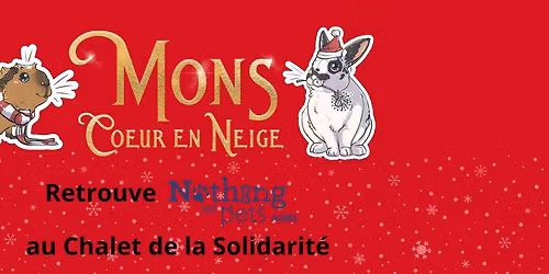 NBP ASBL \u00e0 Mons Coeur en Neige !