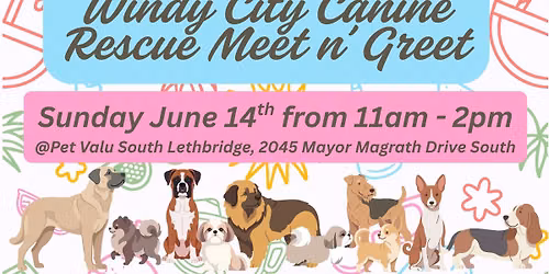 Windy City Canine Rescue Adoptable Meet & Greet