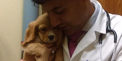 Community pet vaccination clinic- Valrico