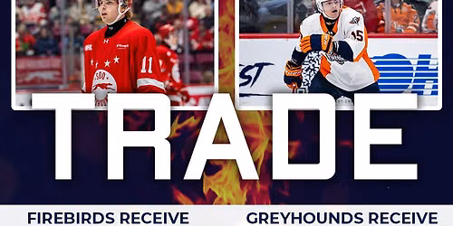 Soo Greyhounds at Flint Firebirds at Dort Financial Center