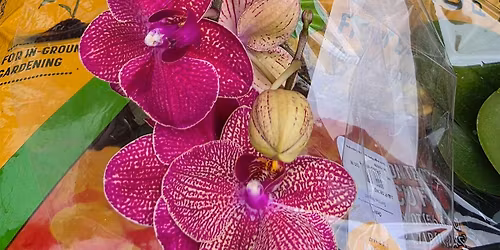 Create with MACC: Flower Arrangements