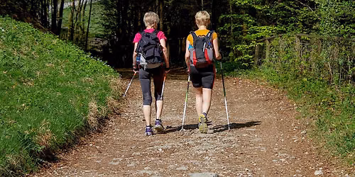 Nordic Walking Kurs in Potsdam