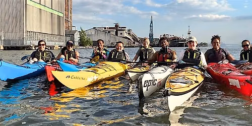 History Paddle: The Phoenix and The Rose