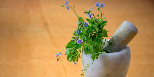 Conf\u00e9rence : Les plantes m\u00e9dicinales dans la mythologie