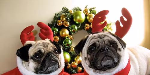 Pugmas 2025