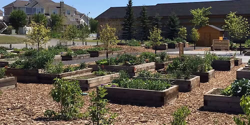 Yoga: Garden Flow & Morning Joe