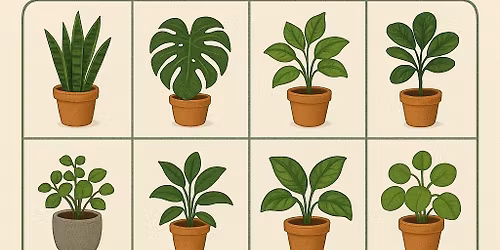 Plant Bingo at My Secret Garden