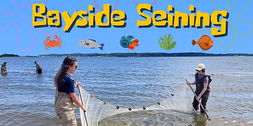 Seining in the Bay