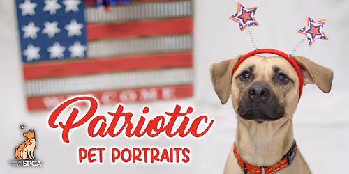 Patriotic Pet Portraits