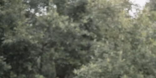 Tom Davis Experience - New Zealand