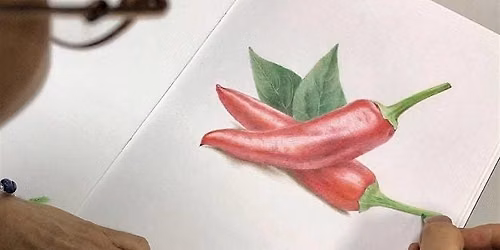 Coloured Pencil Drawing Course by Kuan